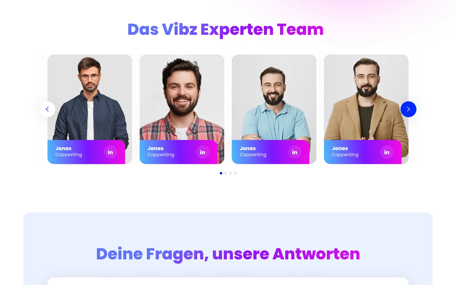 Das Vibz Experten Team